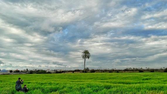 جمال الطبيعة في مدينة خانيونس جنوب قطاع غزة