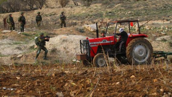 مسن فلسطيني بزرع أرضه رغم تهديدات قوات الاحتلال في نابلس