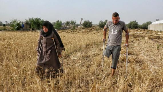 الشقيقان صهيب ونزيهة قديح مصابان يواصلان عملهما في حصاد القمح