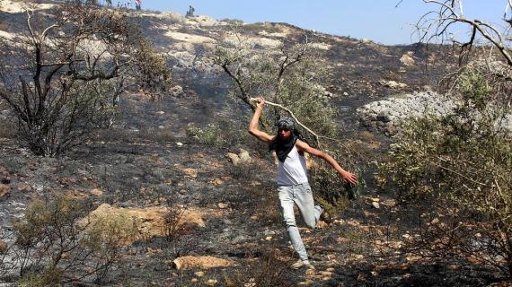 مستوطنون من "براخا" يضرمون النار في حقول الزيتون شرق بورين جنوب نابلس.