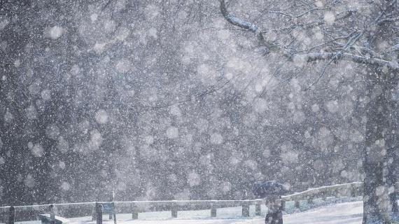 الثلوج في فلسطين والعالم
