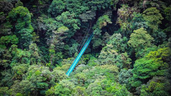 صور للغابة السحابية في كوستاريكا، تستطيع  رؤية كل من البحر الكاريبي والمحيط الهادي منها
