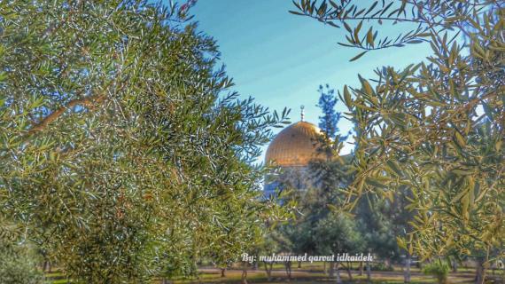 قبة الصخرة المشرفة