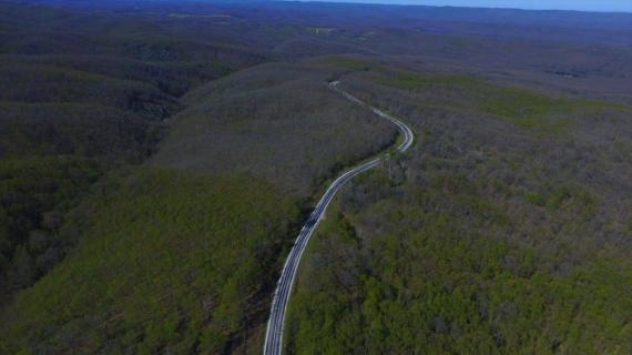 غابات الزان والبلوط في إيغنه أدا شمال غربي تركيا