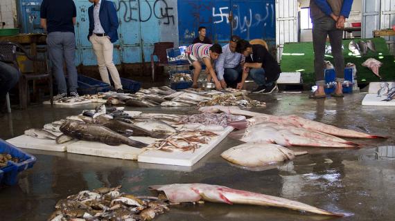 الأسماك في سوق الحسبة على شاطئ بحر غزة