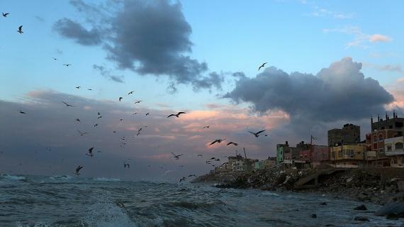 الأجواء الماطرة في غزة: بعدسة Mohammed Saber