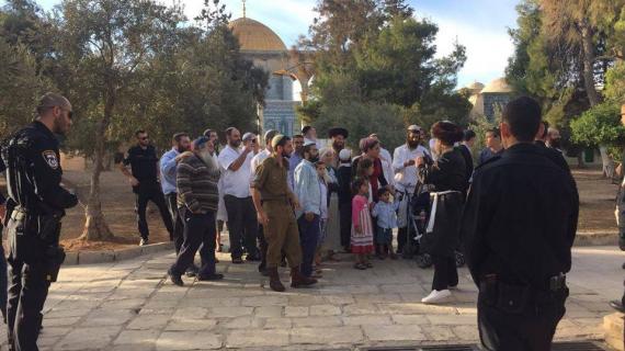 194 مستوطنًا اقتحموا المسجد الأقصى بحماية الاحتلال منذ صباح اليوم الثلاثاء.