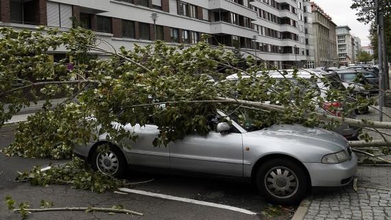 عواصف تقتلع الأشجار في العاصمة الألمانية برلين