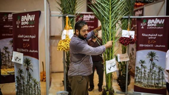 ​انطـلاق فعاليات معـرض بلح فـلسـطـيـن 2017 في غزة