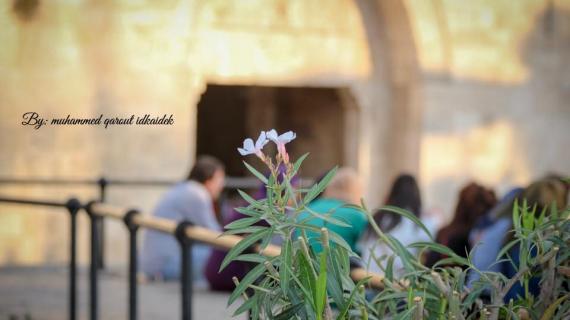 مدينة القدس والمسجد الأقصى المبارك