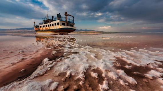 اللقطات الحائزة على أفضل صور في مسابقة التصوير البيئي لعام 2018