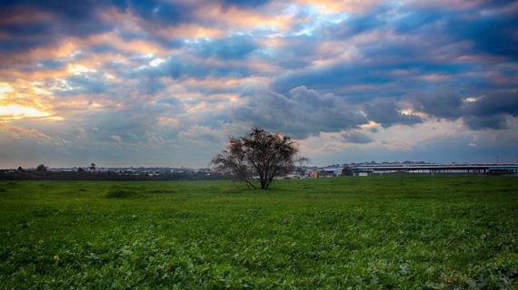 الحدود الشرقية لبلدة جباليا شمال قطاع غزة