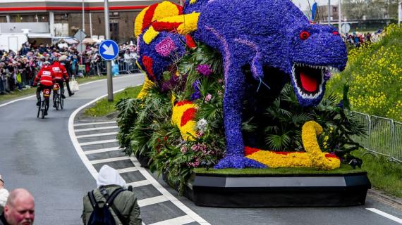 مهرجان الزهور في هولندا.. عروض مختلفة يتم صناعتها من الورود