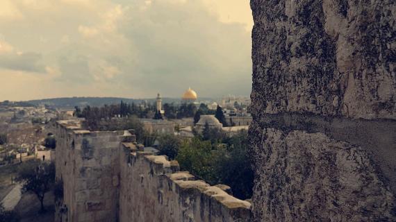 #صور جمالية من #المسجد_الأقصى المبارك بعدسة محمد دويك