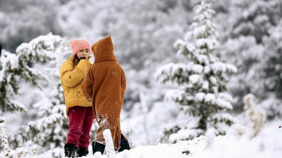 الثلوج في ولاية المدية الجزائرية .