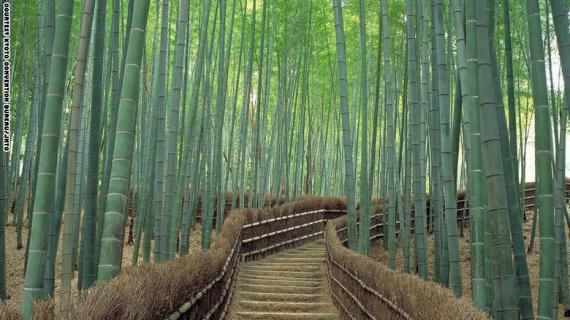 أجمل الأماكن في اليابان