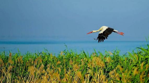 لقطات مميزة لبحيرة "أولو أباط" في #تركيا