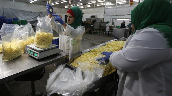 إنتاج البطاطس في أحد مصانع قطاع غزة