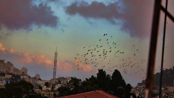 صور خلابة لـ نابلس مساء اليوم