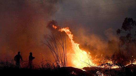 حرائق واسعة فى غابات البرتغال