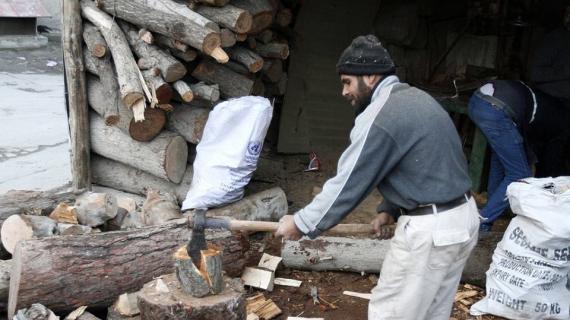 الحطب وسيلة السوريين للتدفئة وبديل غاز الطهي بريف #دمشق