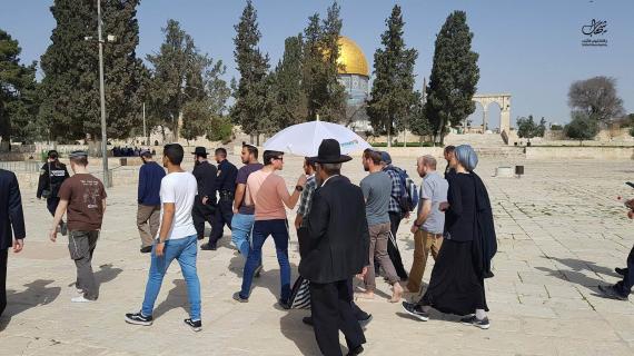 اقتحام المستوطنين باحات المسجد الأقصى المبارك بحماية قوات الاحتلال