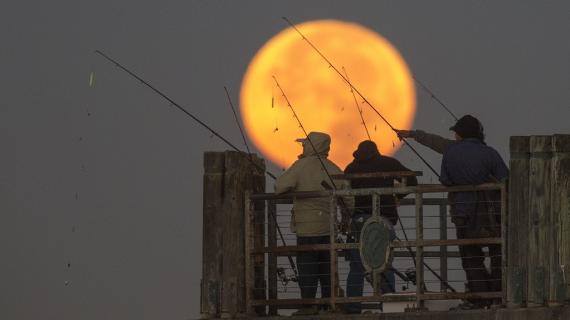 العالم يتابع القمر العملاق مع اقترابه إلى أقرب مسافة من الأرض منذ عام 1948