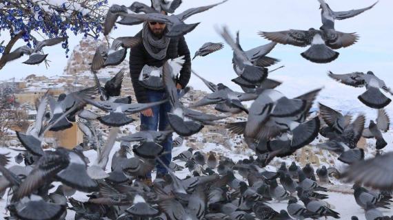 تركيا.. إطعام الطيور في فصل الشتاء ظاهرة منتشرة بمناطق مختلفة بالبلاد في ظل الأجواء الثلجية الباردة