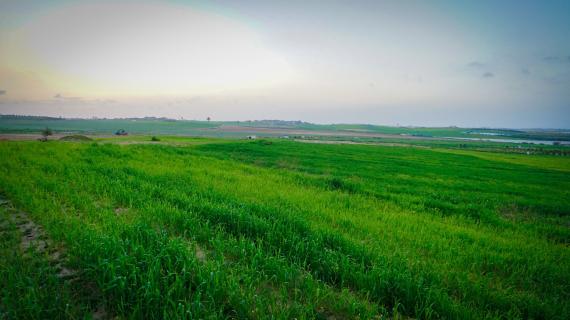 الحدود الشمالية الشرقية في غزة