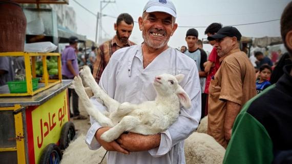 سوق المواشي بمحافظة رفح جنوبي قطاع غزة