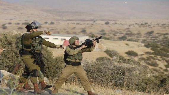 مستوطنون بحماية جيش الاحتلال يعتدون على المواطنين شرق طوباس