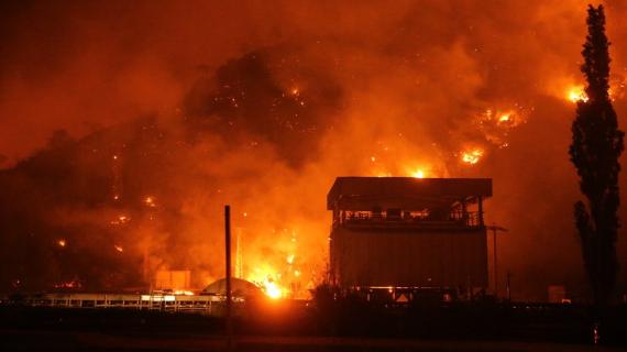 4 قتلى حصيلة الحرائق المندلعة في مناطق عدة بالجزائر