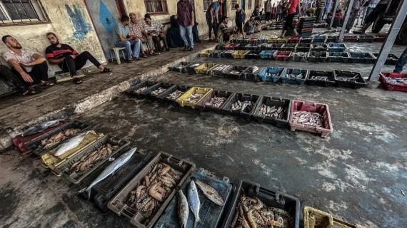 حسبة السمك في غزة.. تعرض خيرات بحر قطاع غزة بعد ليل شاق عمل فيه الصيادون على اصطياد الأسماك