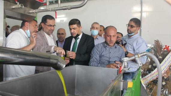 وزارة الزراعة في غزة تفتتح موسم قطف الزيتون وتشغيل المعاصر للعام 2021
