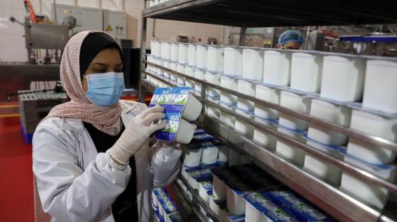 ينتجون أصنافاً متعددة.. عمال فلسطينيون يعملون داخل مصنع للألبان في قطاع غزة