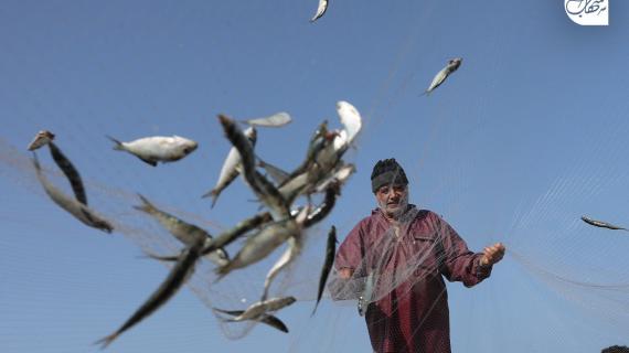 صيادون فلسطينيون يعودون لشاطئ دير البلح وسط قطاع غزة بصيد كميات من سمك السردين