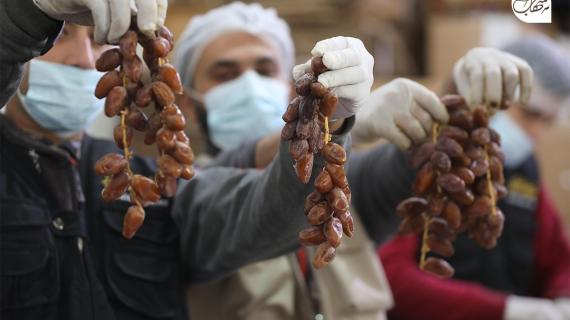 تجهيز كميات كبيرة من التمور بمختلف أنواعها في قطاع غزة استعدادًا لشهر رمضان المبارك