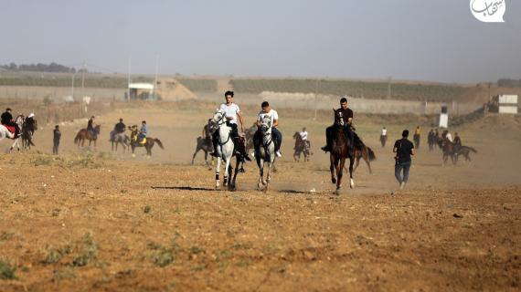 مواطنون يمارسمون هوايتهم بركوب الخيل والجمال شرقي غزة