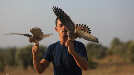 الشاب أحمد طوطح (29 عامًا) يمتهن اصطياد الصقور قرب المنطقة الحدودية في قطاع غزة، ليوفر مصدر دخل في ظل الأوضاع الاقتصادية الصعبة