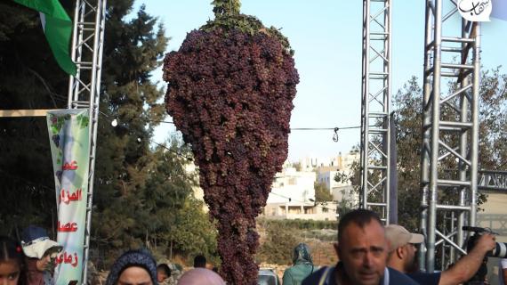 افتتاح مهرجان العنب السنوي في بلدة حلحول شمال الخليل لموسم 2022