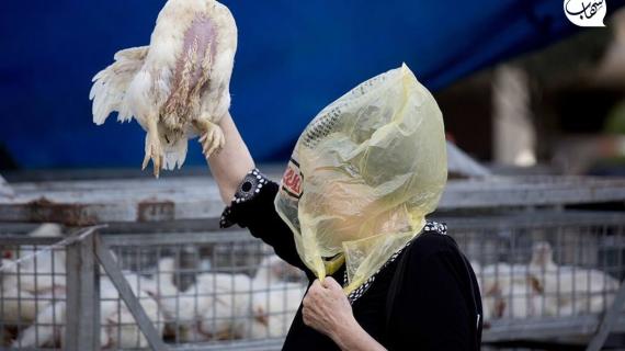 طقوس "كاباروت" هذه الأيام لدى المستوطنين اليهود، يقومون خلاله بالتطهر من الذنوب بتحريك دجاجة فوق الرأس مع تلاوة ترانيم توراتية، حتى تنتقل إليها الذنوب، ومن ثم ذبحها