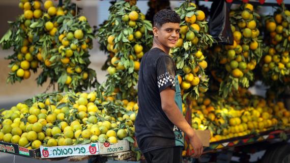بائع حمضيات يزين عربته بحبات البرتقال لجذب الزبائن، في غزة