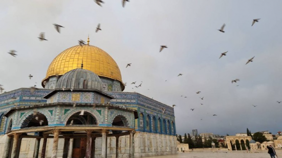 جمال المسجد الأقصى المبارك في الأجواء الماطرة