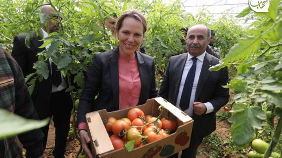 الاتحاد الأوروبي يفتتح مشاريع زراعية للمتضررين من العدوان الإسرائيلي المتكرر على قطاع غزة