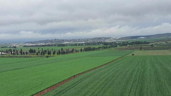 مروج جنين ، تصوير : هلال نصار