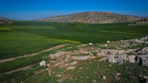 من ريف طوباس تحديدا  "خربة ابزيق" - تصوير واجد النوباني