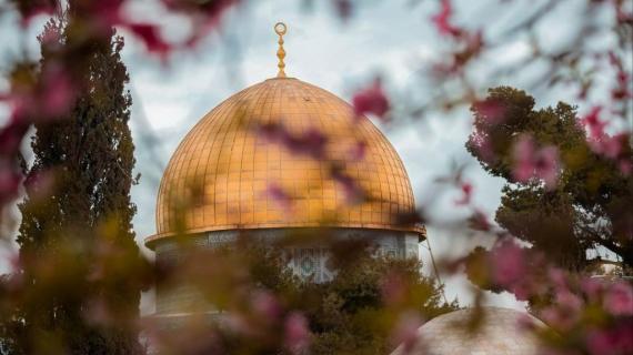 القدس المحتلة مع بدء فصل الربيع