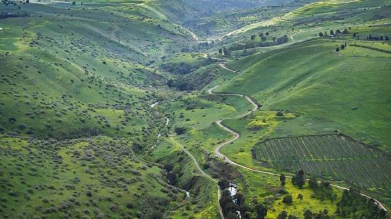 صور جوية تعرض لأول مرة لفلسطين المحتلة