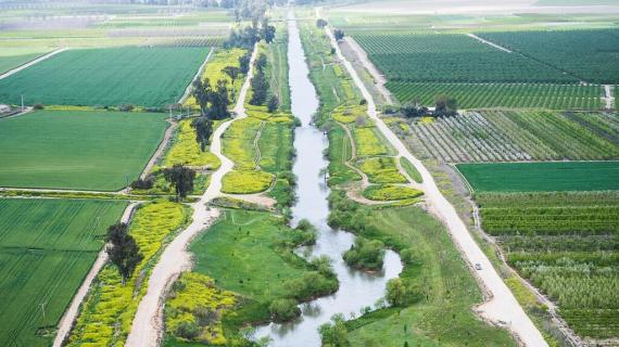 فلسطين المحتلة