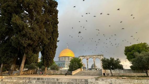أجواء باحات المسجد الأقصى المبارك وإفطار المرابطين فيه